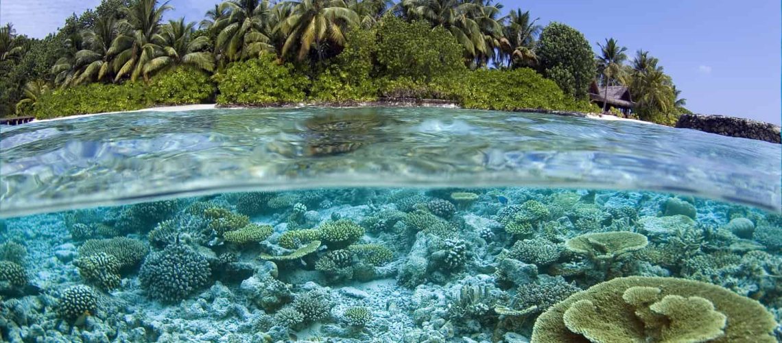 Photoshot Reef